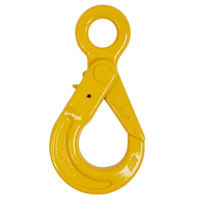Savaime užsirakinantis kablys su kilpa G80